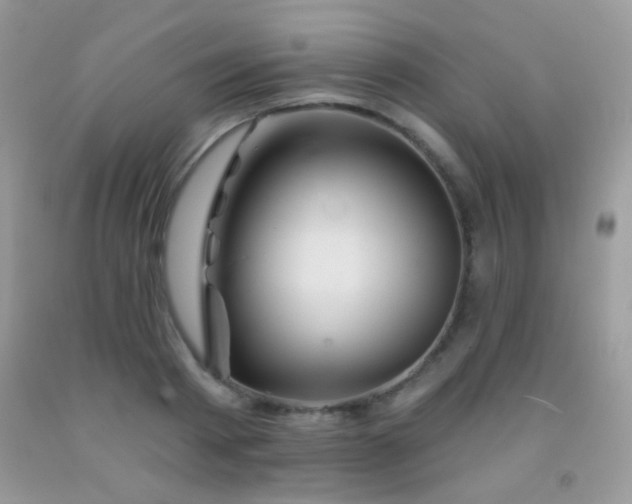 X0000092010793200709061531
