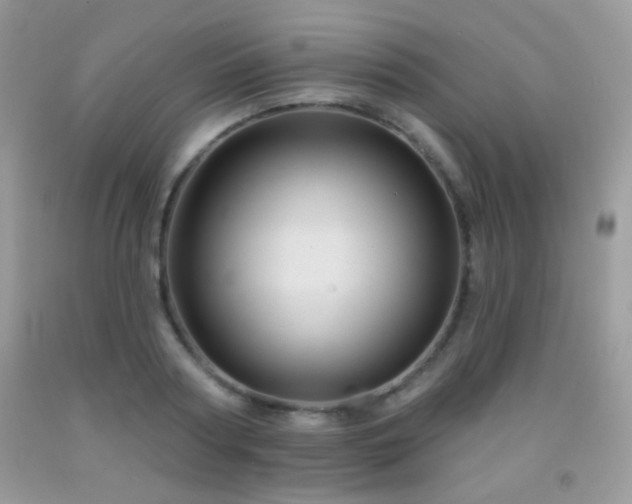 X0000092010794200709061531