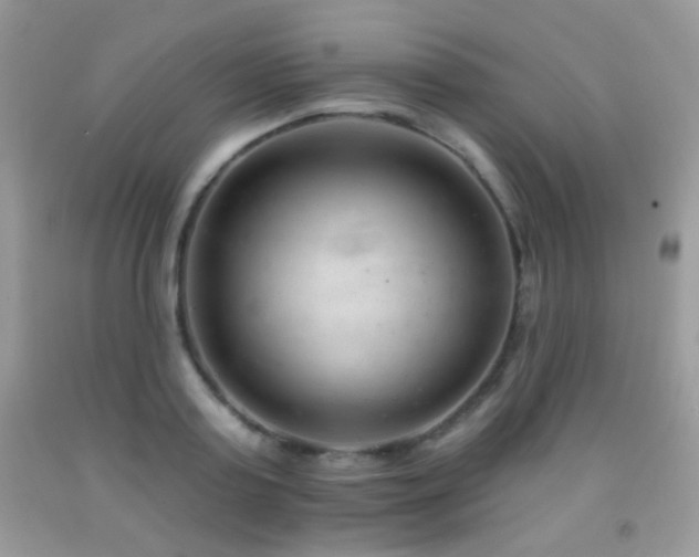X0000092010795200709061531
