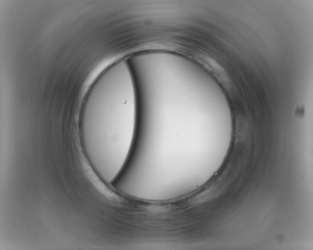 X0000092010796200709061531