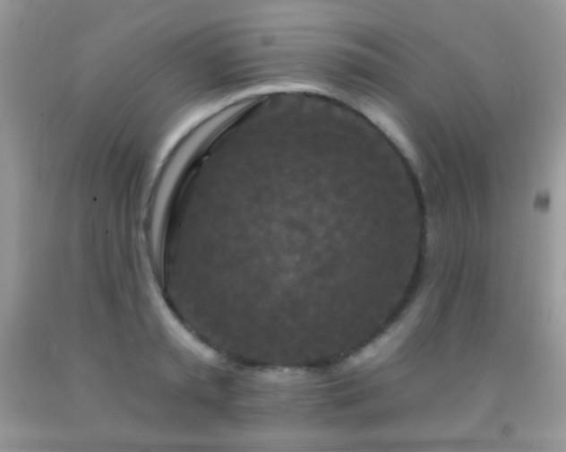 X0000092010797200709061531
