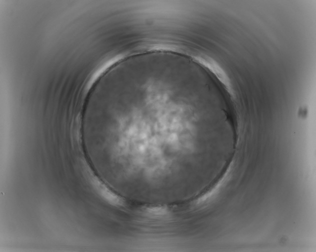 X0000092010798200709061531