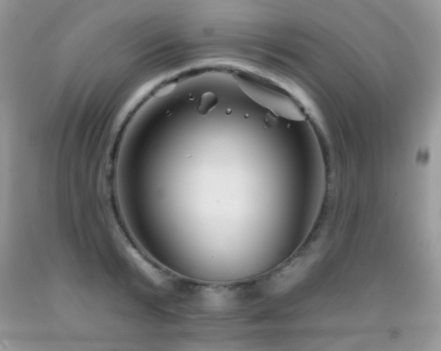 X0000092010799200709061531