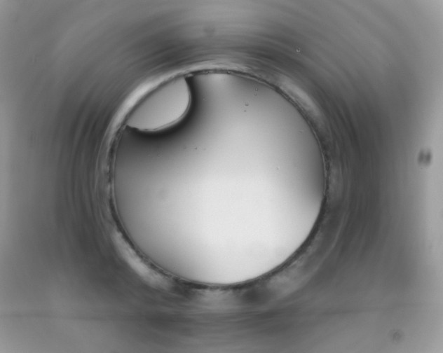 X0000092010800200709061531
