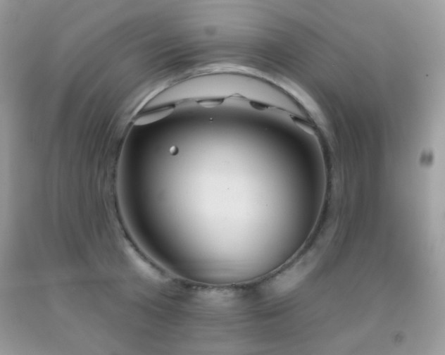 X0000092010801200709061531