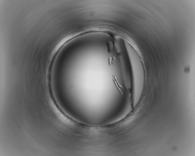 X0000092010803200709061531