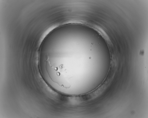 X0000092010804200709061531