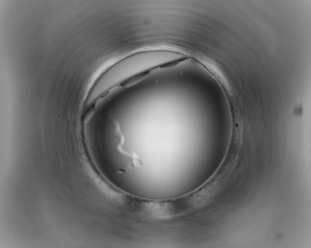 X0000092010805200709061531