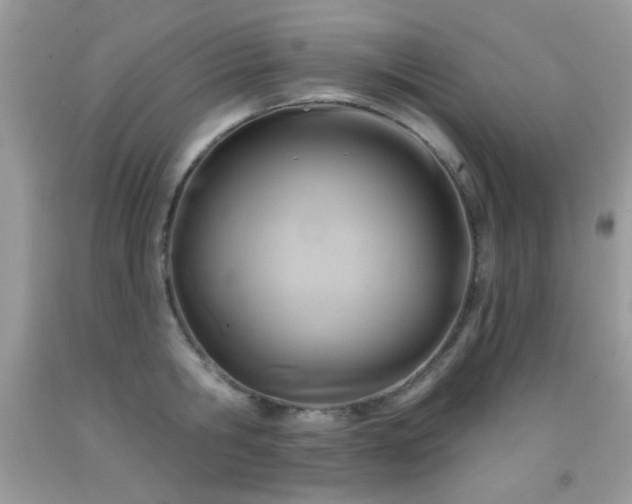 X0000092010806200709061531