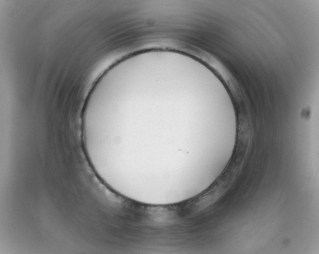 X0000092010807200709061531