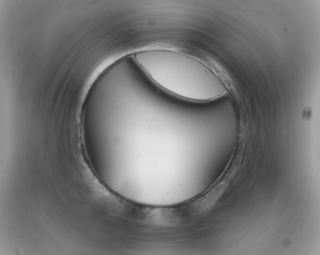 X0000092010808200709061531