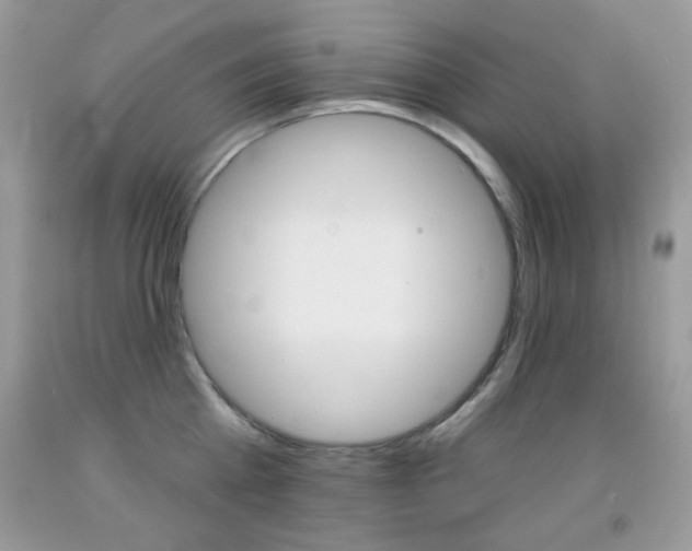 X0000092010809200709061531