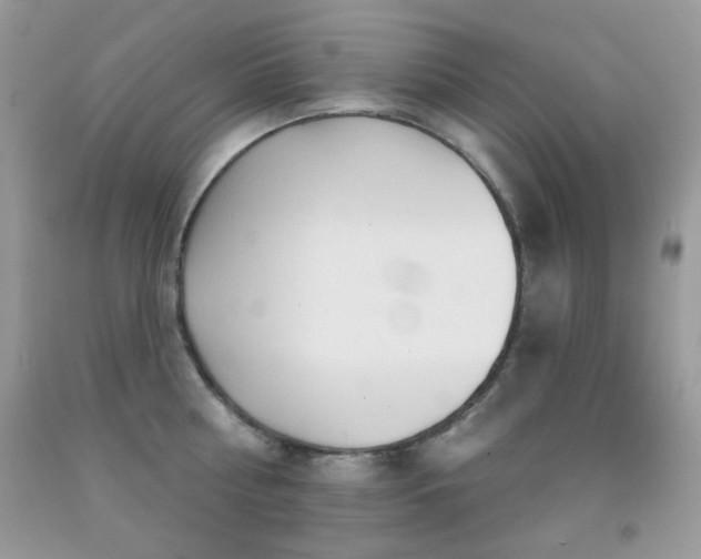 X0000092010810200709061531
