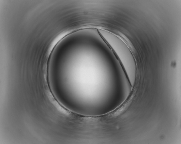 X0000092010812200709061531