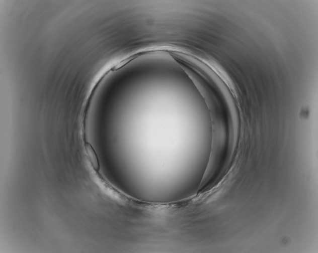 X0000092010813200709061531