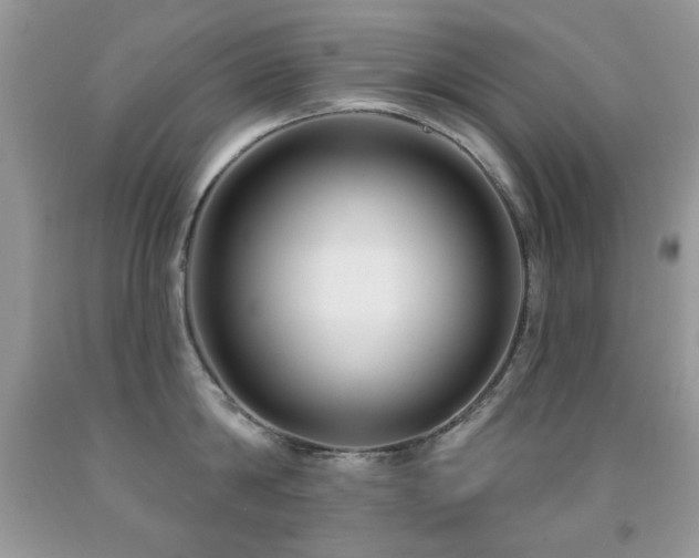 X0000092010814200709061531