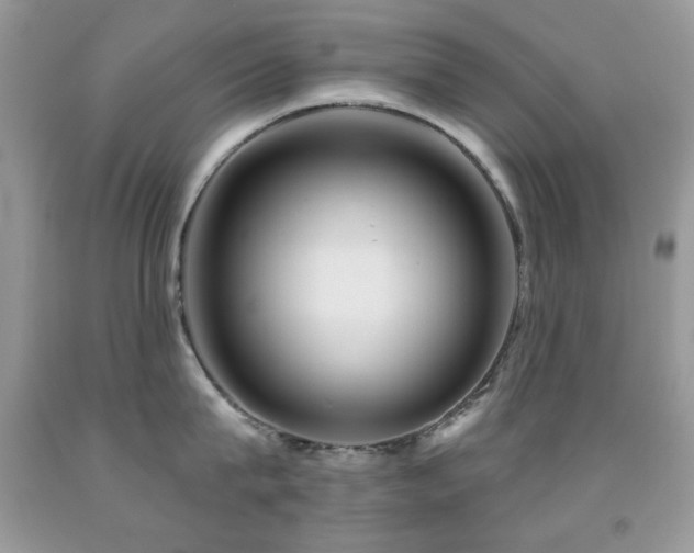 X0000092010815200709061531
