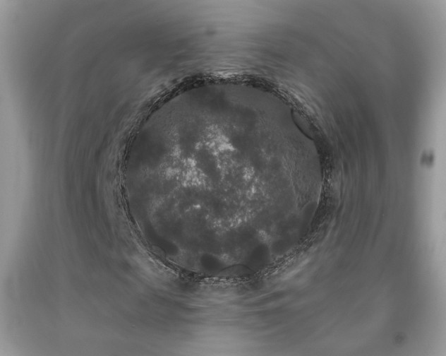 X0000092010817200709061530