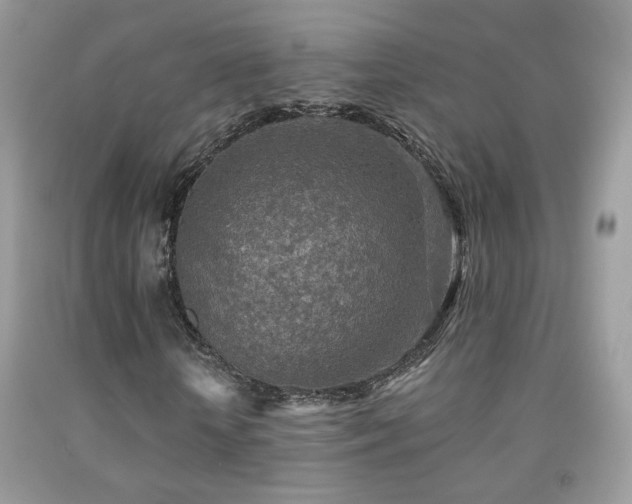 X0000092010818200709061530