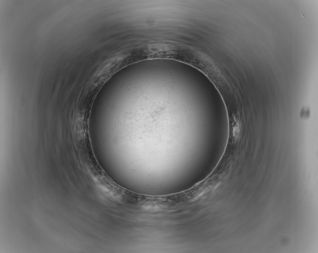 X0000092010819200709061530