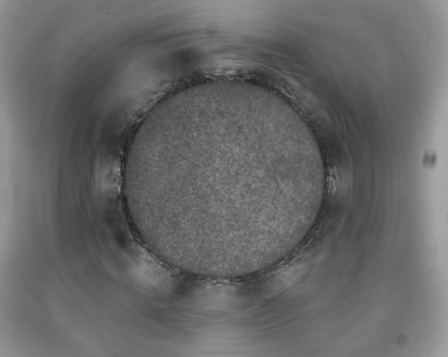 X0000092010820200709061530