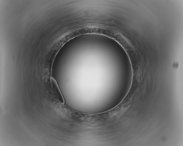 X0000092010821200709061530
