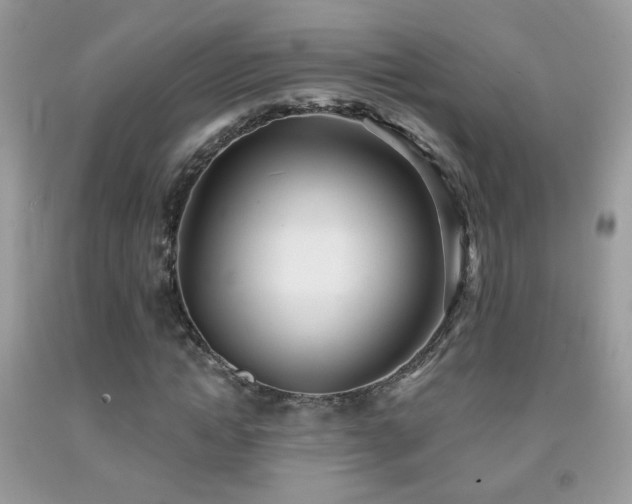 X0000092010822200709061530