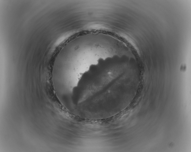 X0000092010823200709061530