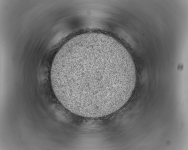 X0000092010824200709061530