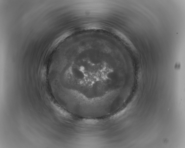 X0000092010825200709061530