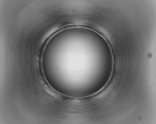 X0000092010827200709061530