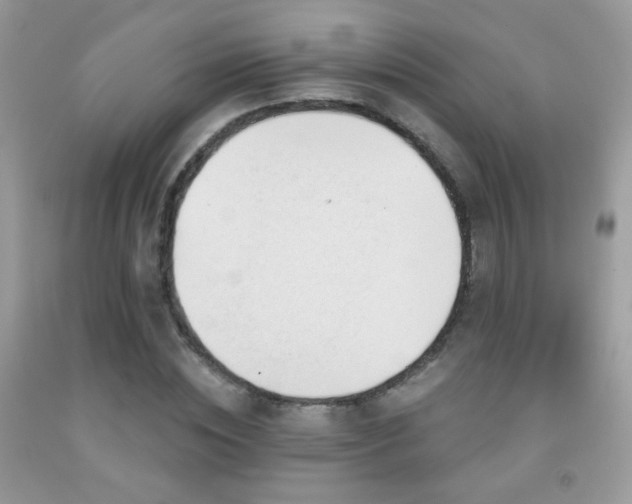 X0000092010828200709061530