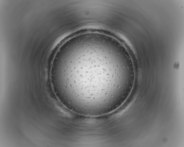 X0000092010829200709061530