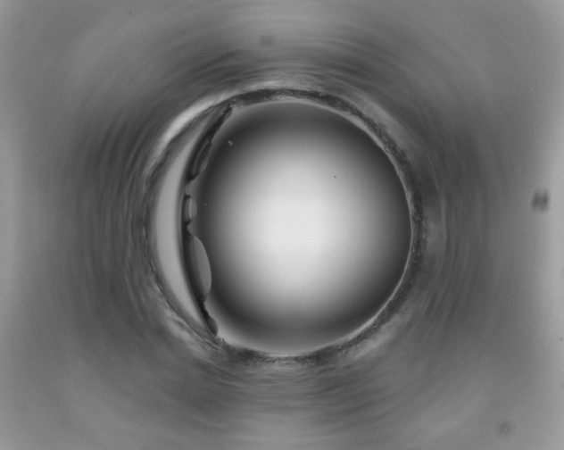 X0000092010830200709061530