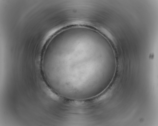 X0000092010831200709061530