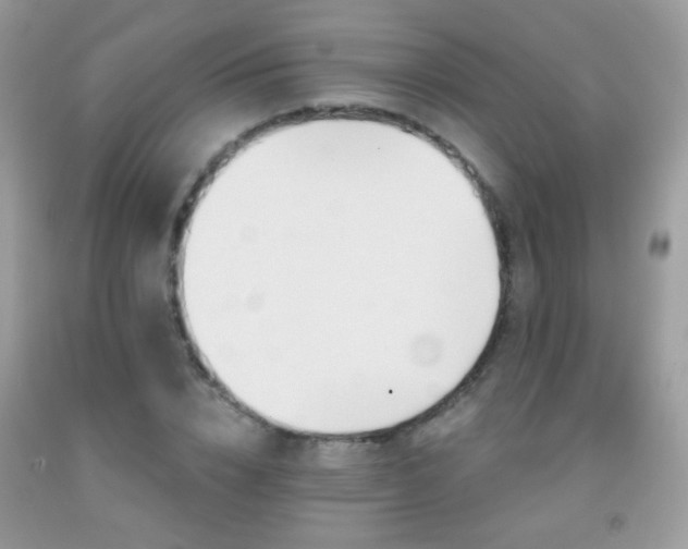 X0000092010832200709061530