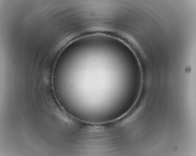 X0000092010833200709061530