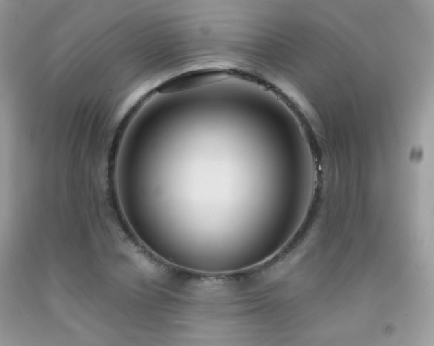 X0000092010834200709061530
