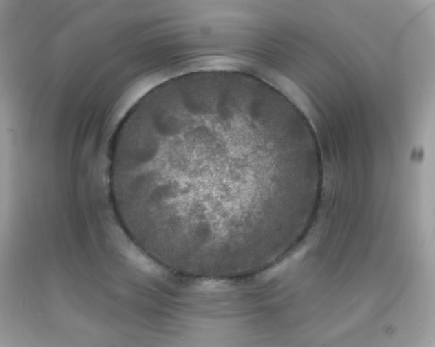 X0000092010835200709061530