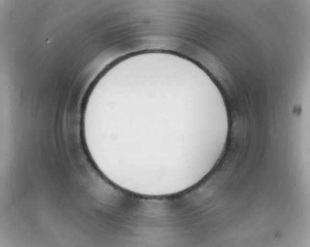 X0000092010836200709061530