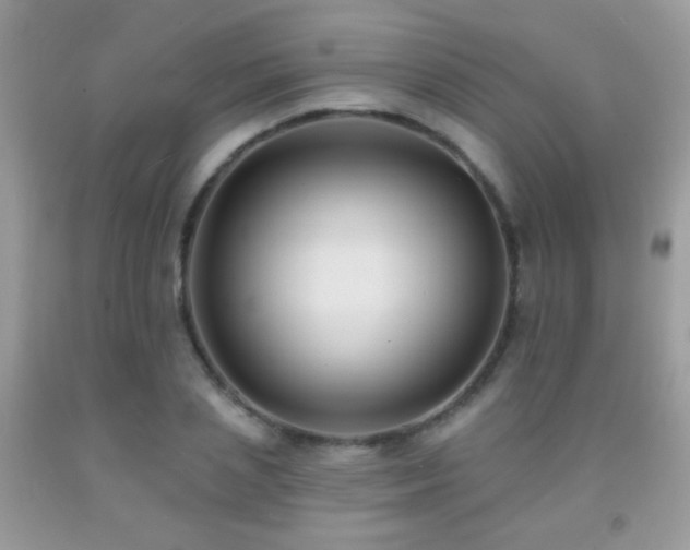 X0000092010837200709061530