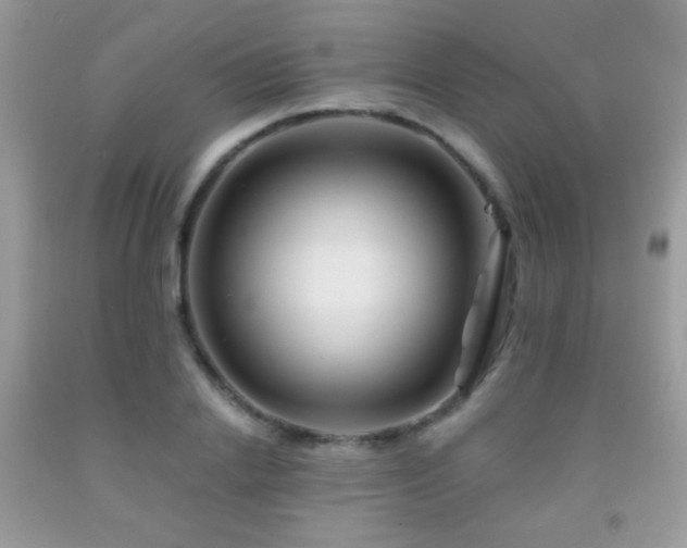 X0000092010838200709061530