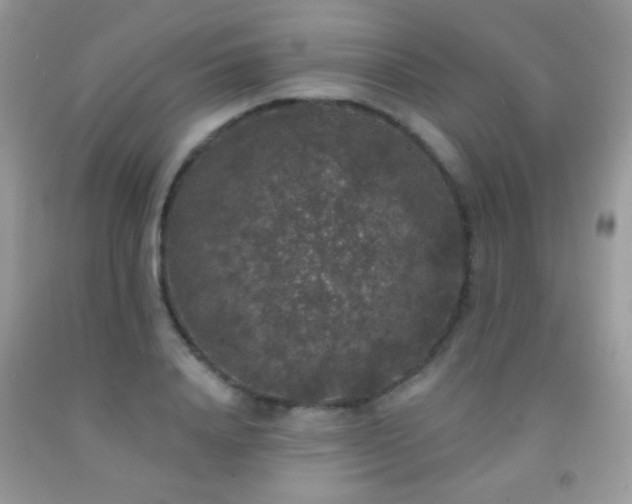 X0000092010840200709061530