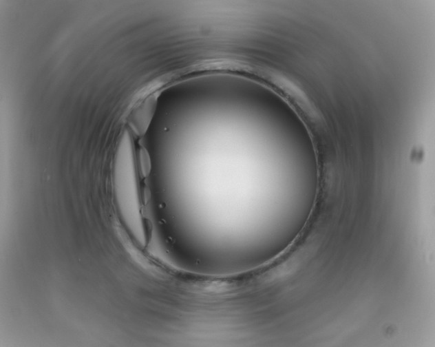 X0000092010841200709061530