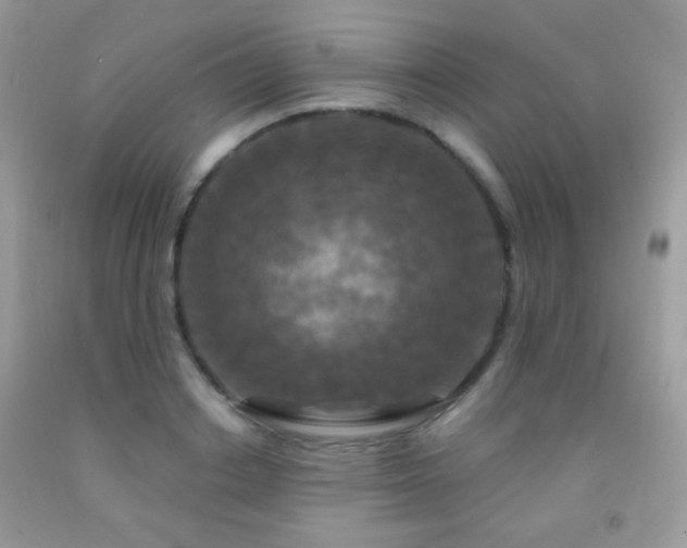 X0000092010842200709061530
