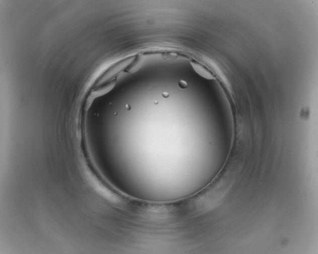 X0000092010843200709061530