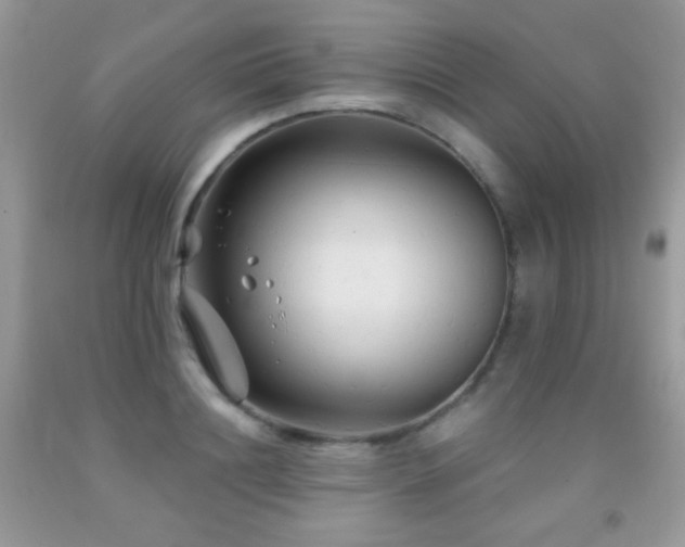 X0000092010844200709061530