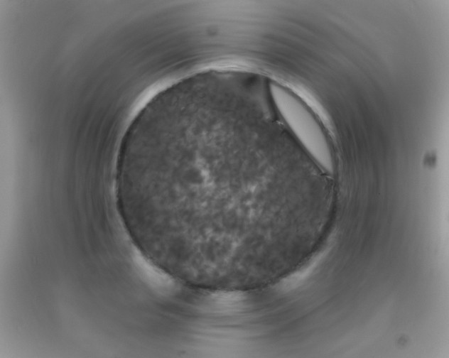 X0000092010845200709061530