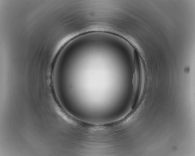 X0000092010846200709061530