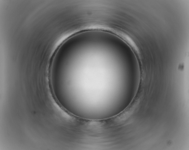 X0000092010847200709061530